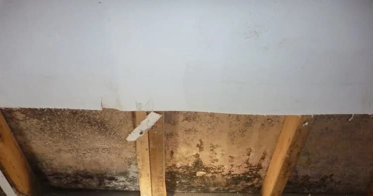 A dark attic showing daylight coming through gaps in the roof deck.