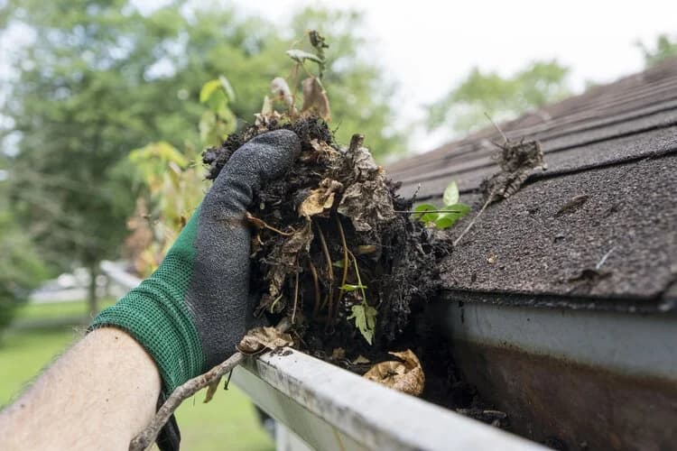 A gloved hand pulling wet leaves and debris out of a roof gutter.
