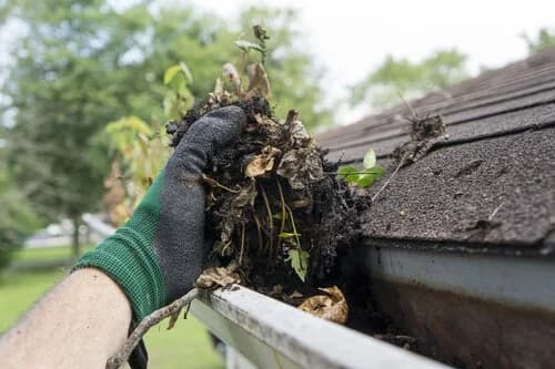 A gloved hand pulling leaves and debris out of a clogged rain gutter.