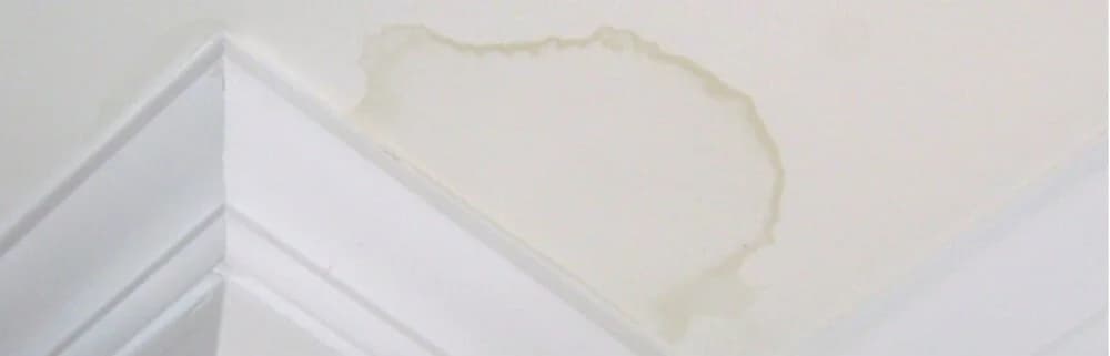 A brown water stain spreading across a white interior ceiling — the way most homeowners first learn their roof has been leaking.