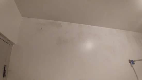 Image of mold and stains on a wall, signaling excessive moisture and a roof leak