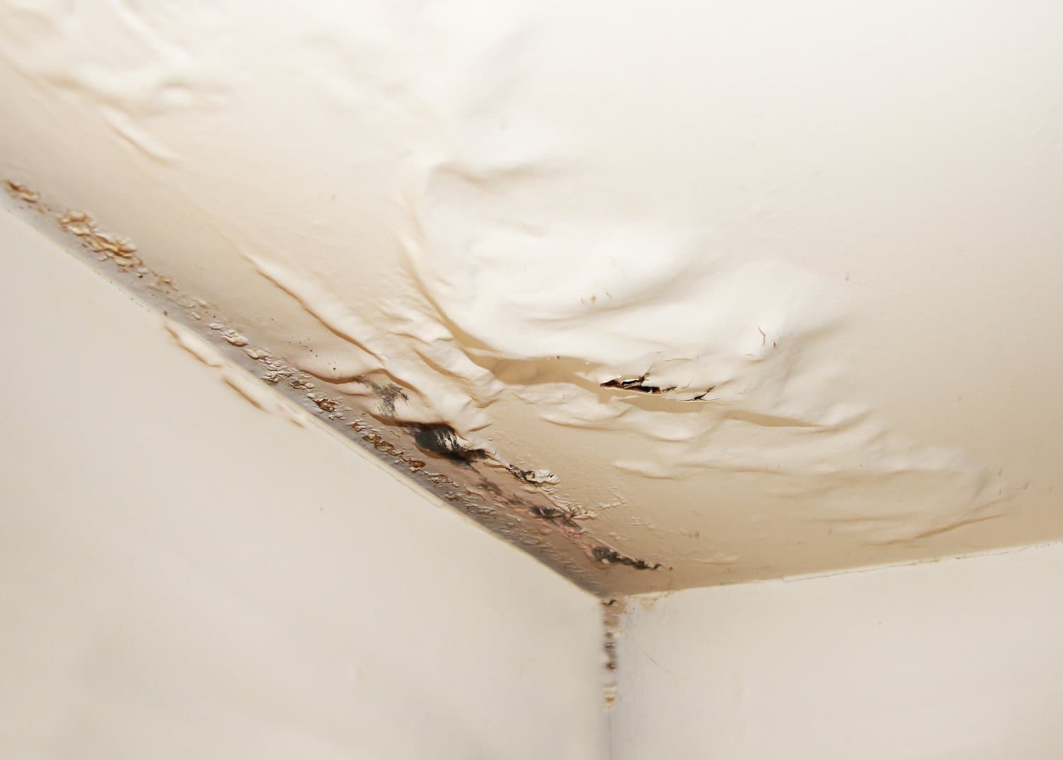 Interior ceiling corner with bubbling, peeling paint and brown water stains from a leak.