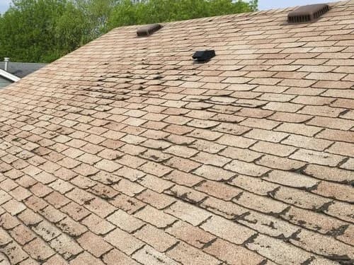An old asphalt shingle roof showing heavy staining and weathering, with two dark roof vents near the ridge.