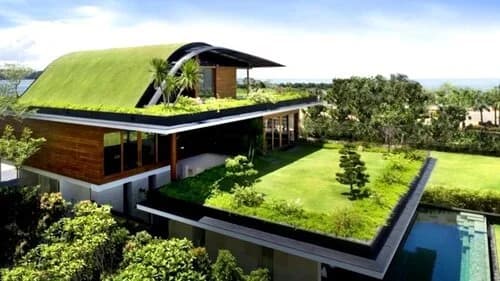 A modern home with an extensive curved green living roof, pool, and ocean view.