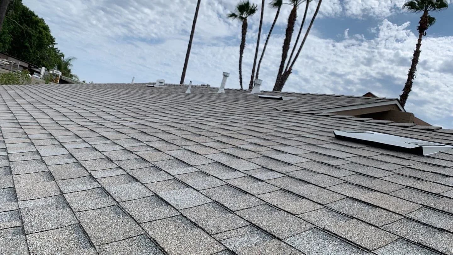 A wide expanse of light gray asphalt shingle roof with palm trees and vents under a cloudy sky.